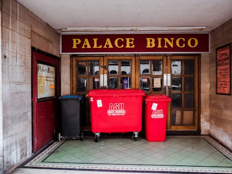 Bingo Evolution: From Community Halls to Global Online Craze